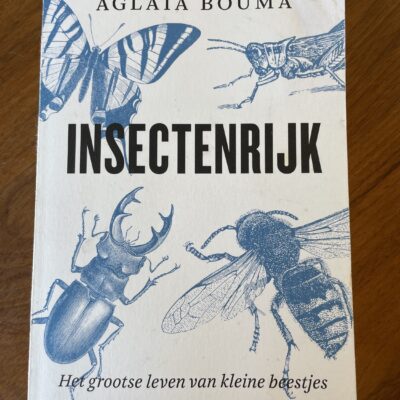 Insectenrijk, Aglaia Bouma