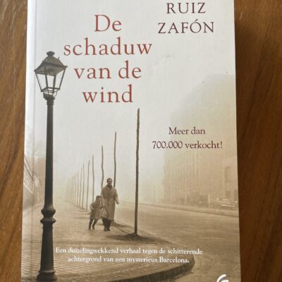 Carlos Ruiz Zafon - De schaduw van de wind