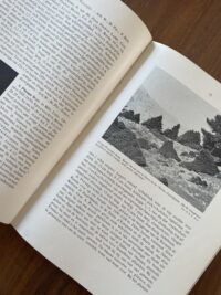 P. Den Ouden - Coniferen Ephedra Ginkgo