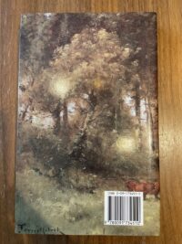 Sebastian Faulks - The girl at the lion d’or