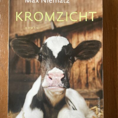 Max Niematz - Kromzicht