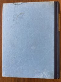 Steinmetz - Bezem in de mast