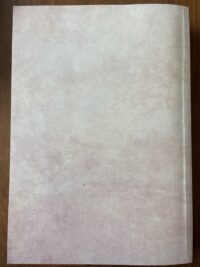 Peter Sylvain Nicolas van Rossum - Towards individualized treatment for esophageal cancer