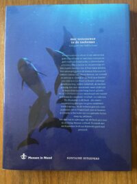 Mensen in nood - Vertrouwen in de toekomst