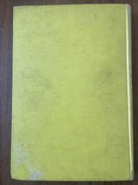 A. Ponsteen - Jong Holland vliegt