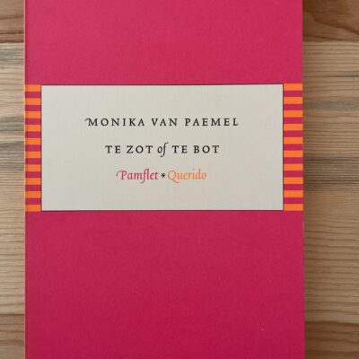 Monika van Paemel - Te zot of te bot