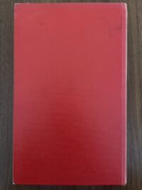 Theun de Vries - Vincent in Den Haag