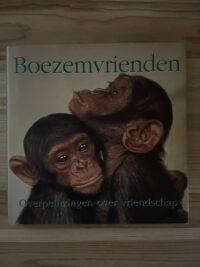 Boezemvrienden - Overpeinzingen over vriendschap