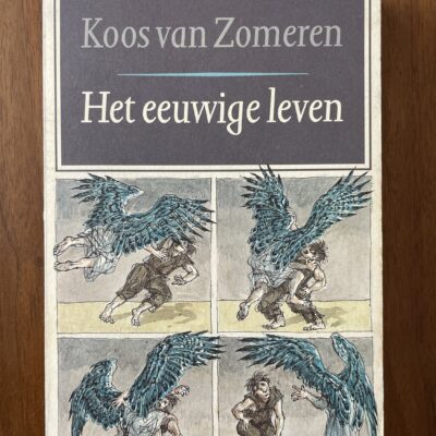 Koos van Zomeren - Het eeuwige leven