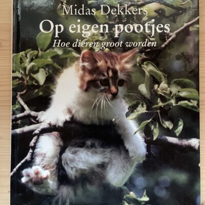 Midas Dekkers - Op eigen pootjes