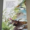 een-otter-en-zijn-wilde-overmoed-max-dendermonde-achterkant.jpg Achterzijde van het boek Een otter en zijn wilde overmoed door Max Dendermonde