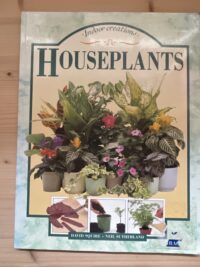 David Squire - Houseplants