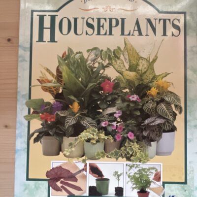 David Squire - Houseplants