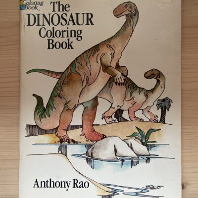 Anthony Rao - The dinosaur coloring book