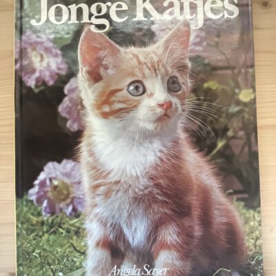 Angela Sayer - Snoezige Jonge Katjes